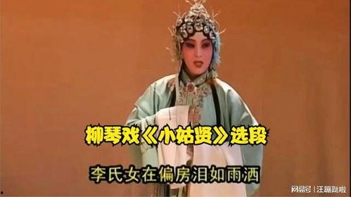 小姑贤,传承美德，构建和谐家庭新篇章