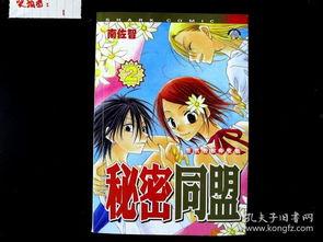 秘密同盟,揭秘神秘组织背后的权力斗争与暗流涌动